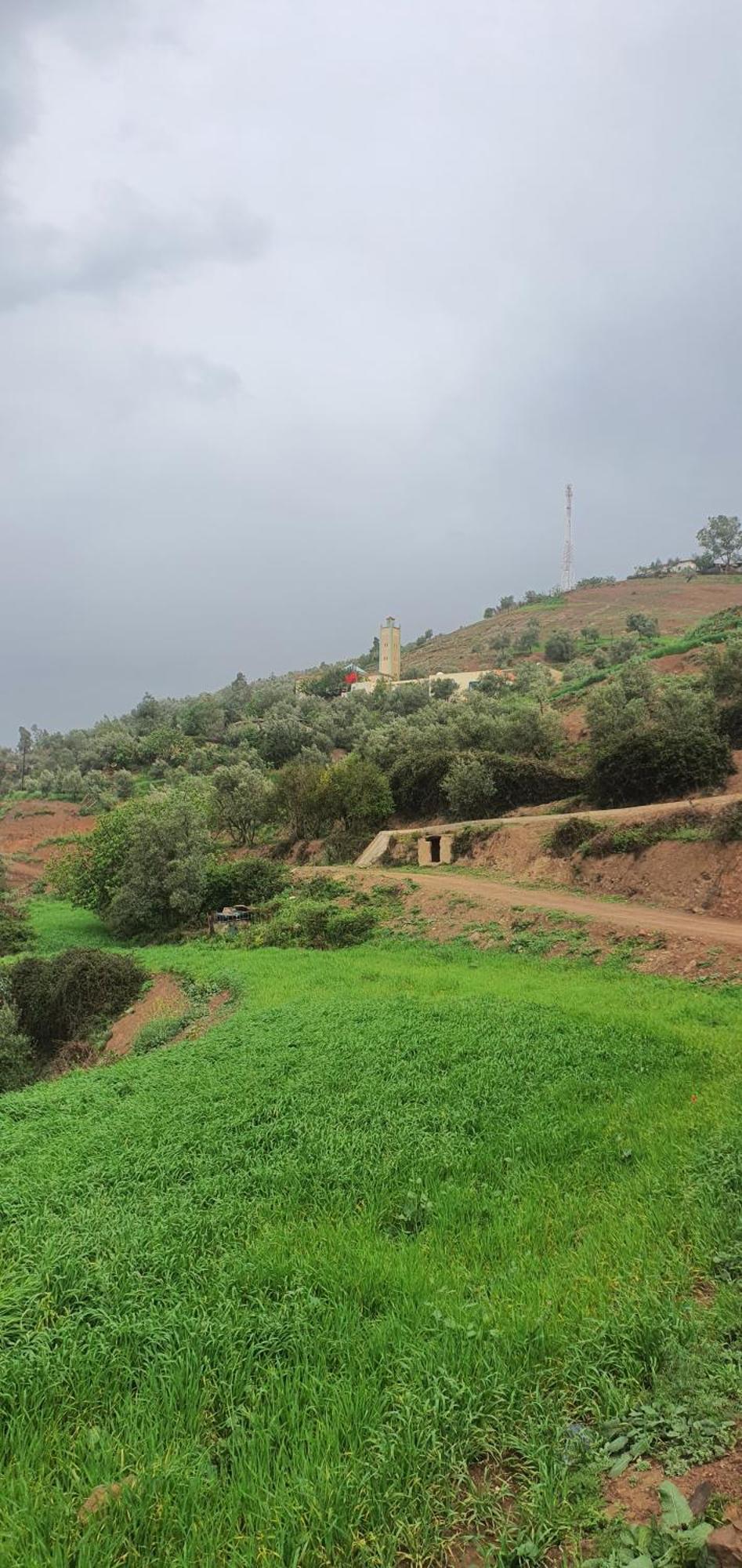 دار الضيافة تازكة Maison D'Hotes Tazekka Taza Exterior photo
